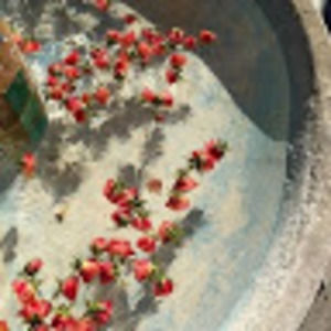 Meet your Posher, Fabiola